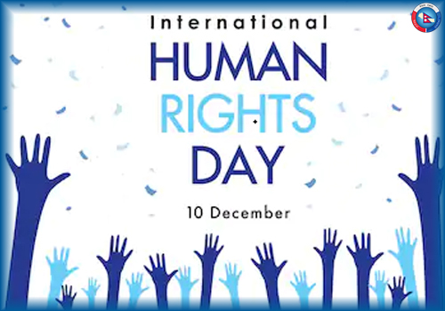 Human Rights Programme